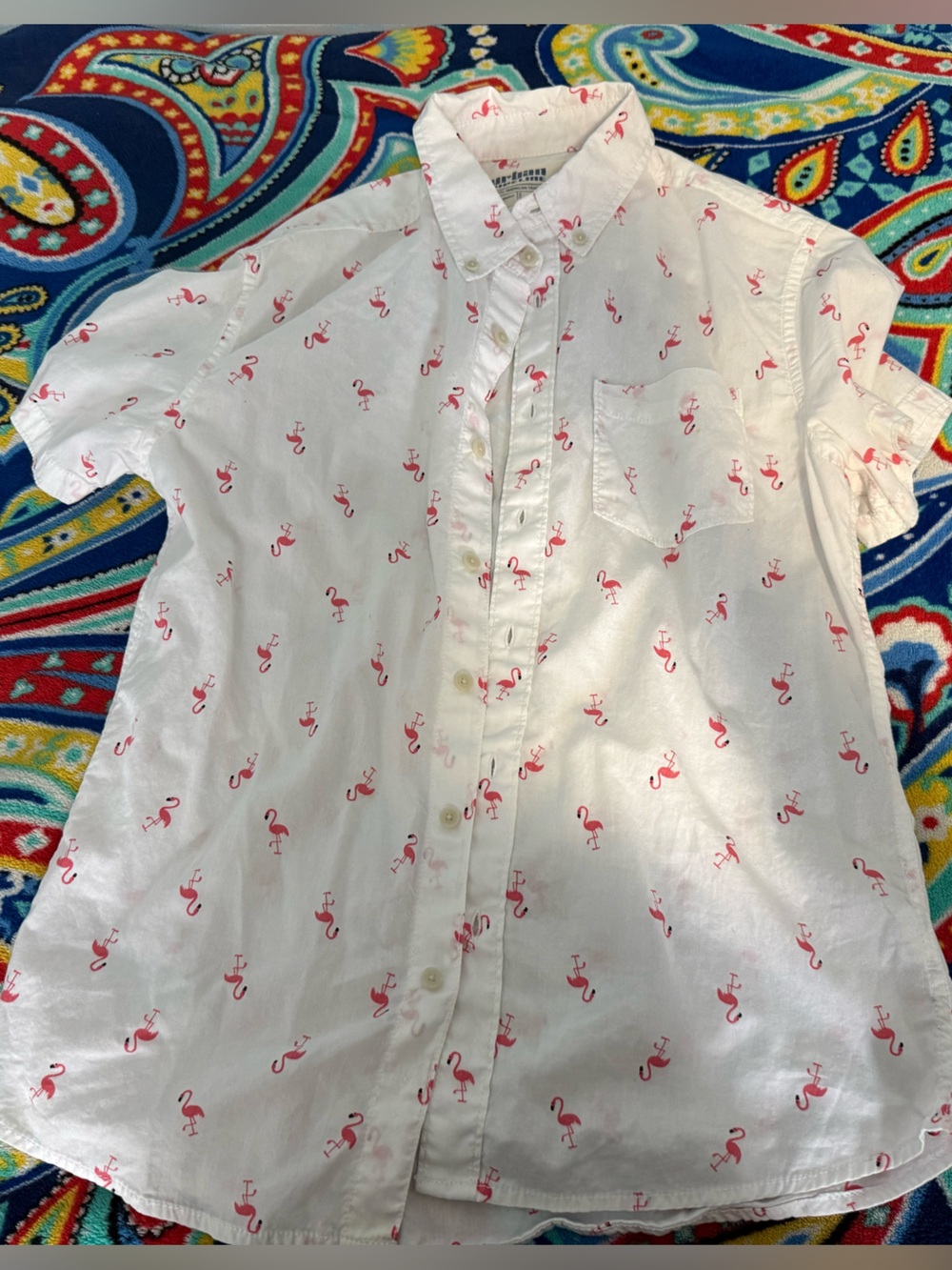 Urban Pipeline Flamingo Mens Short Sleeve Cotton Button Down Shirt